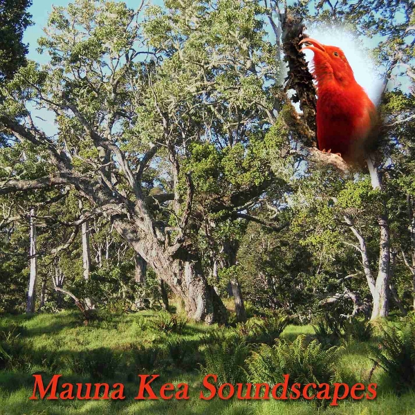 CD Cover Mauna Kea Soundcapes
