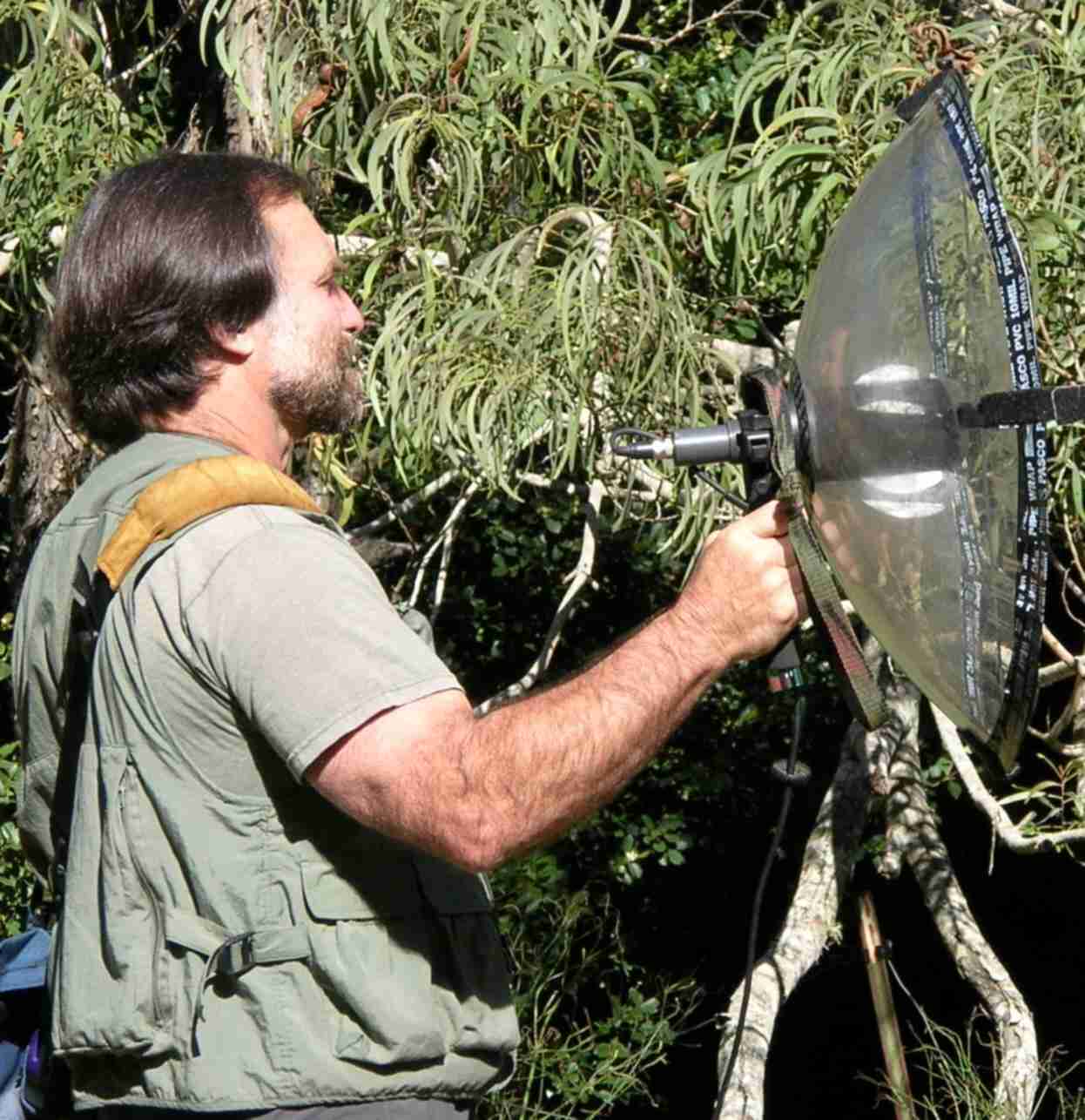 Telinga Stereo Parabolic Microphone