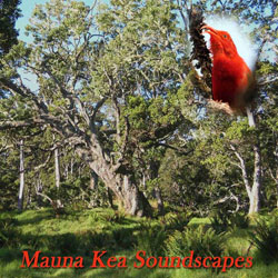 CD Cover Mauna Kea soundscapes
